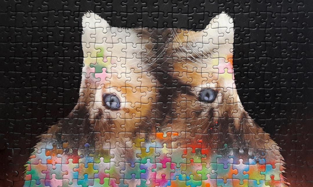 Hans-Peter Schütt: Anima