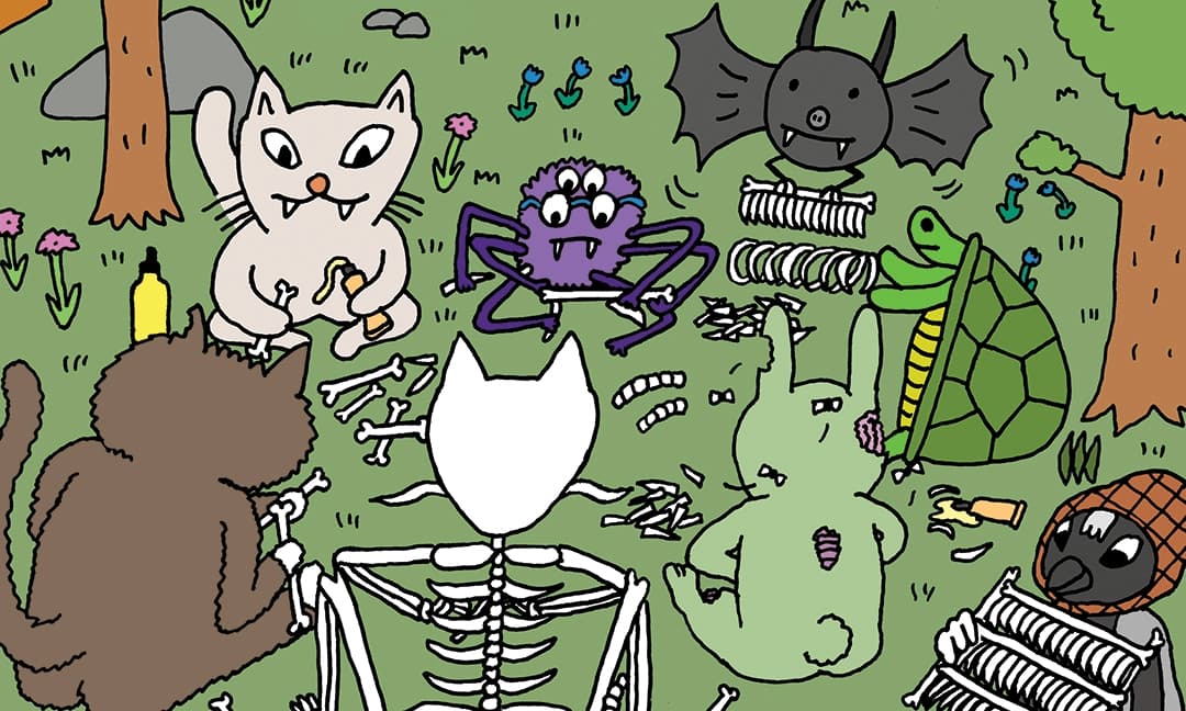 Kalmakumpu – Kuvitusnäyttely kahvila Naperossa