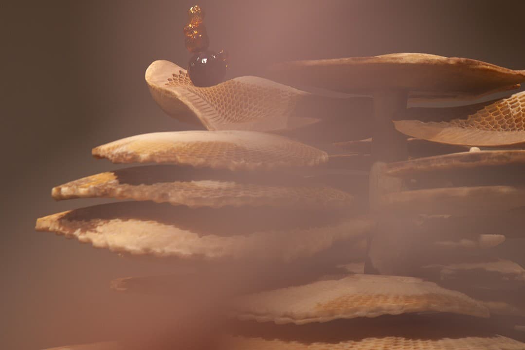 Marguerite Humeau: Soihdut